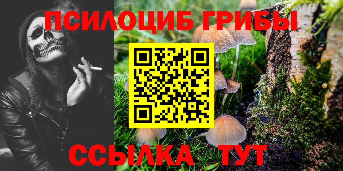 Псилоцибиновые грибы GOLDEN TEACHER  Галлюциногенные грибы MAGIC MUSHROOMS  Вход с VPN  Нарткала 